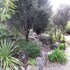 joya garden and villa studios