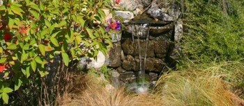 joya garden and villa studios