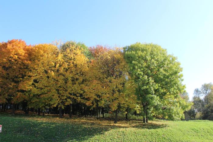 bandb hotel paris roissy cdg aeroport