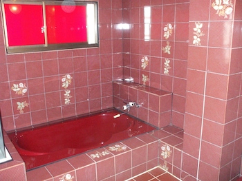 hotel sagano adults only