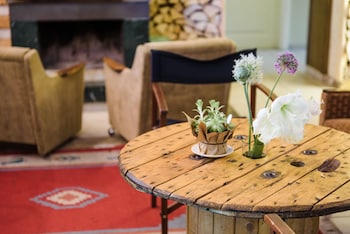 downtown forest hostel and camping