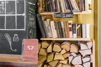 downtown forest hostel and camping