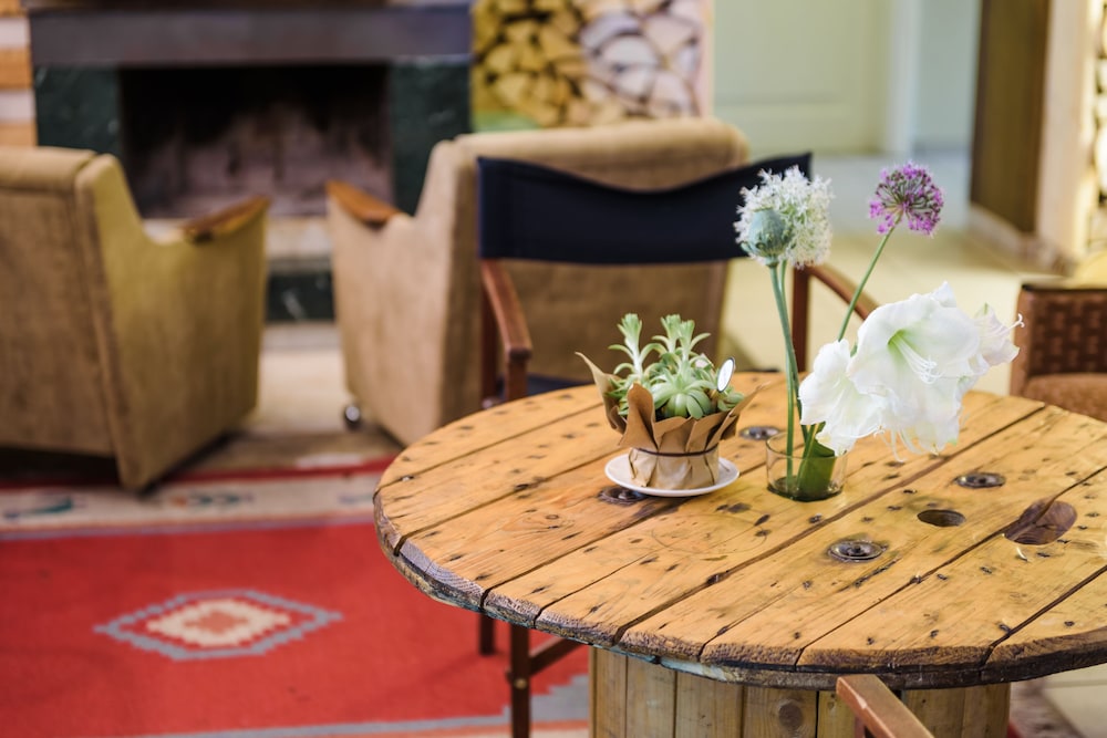 downtown forest hostel and camping