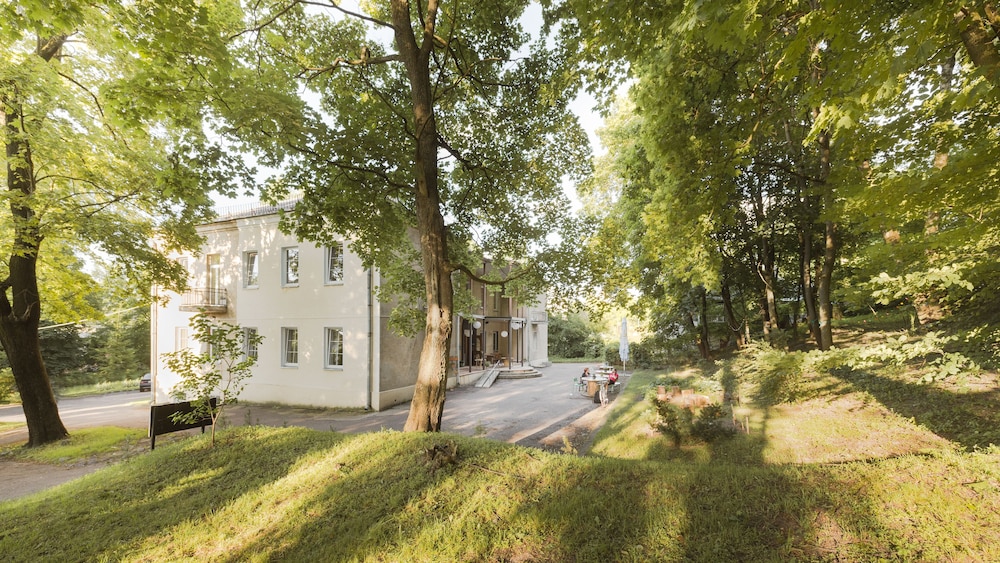 downtown forest hostel and camping