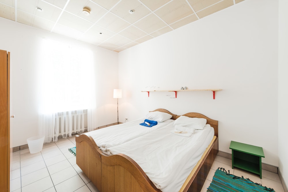 downtown forest hostel and camping