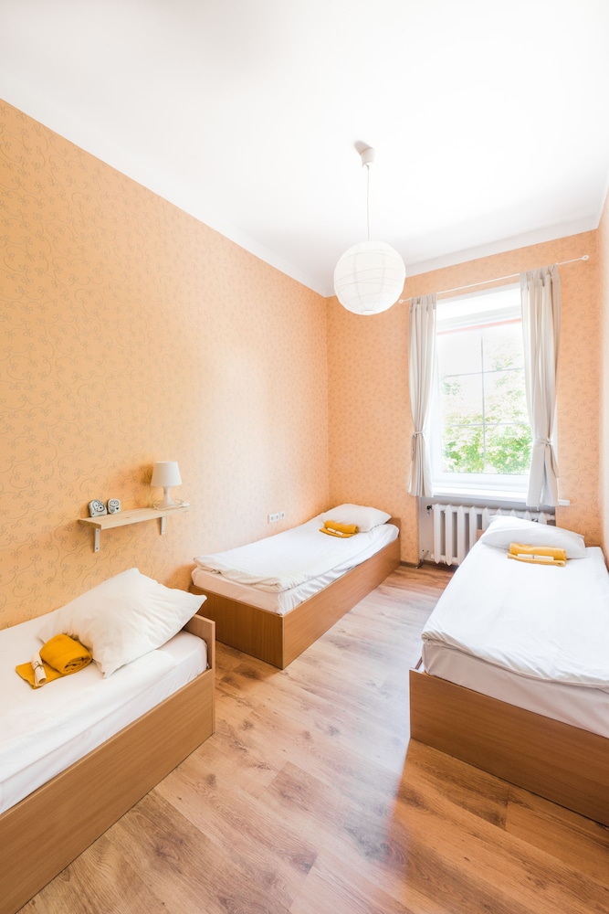 downtown forest hostel and camping