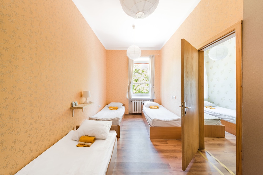 downtown forest hostel and camping