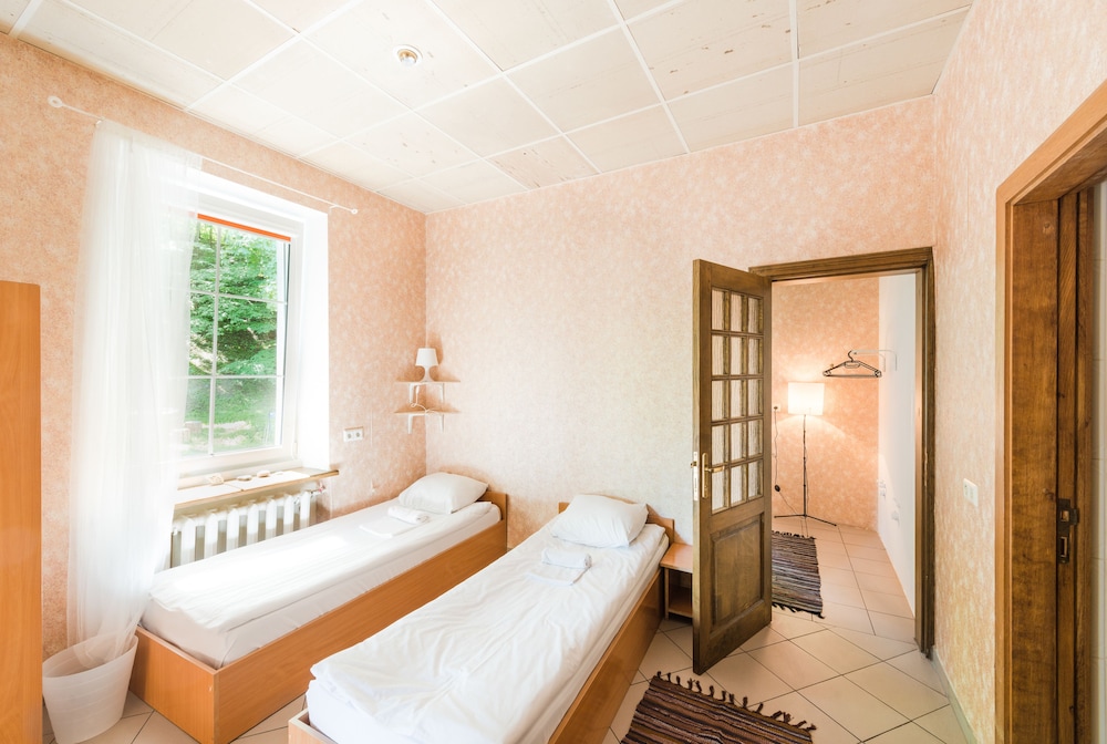 downtown forest hostel and camping