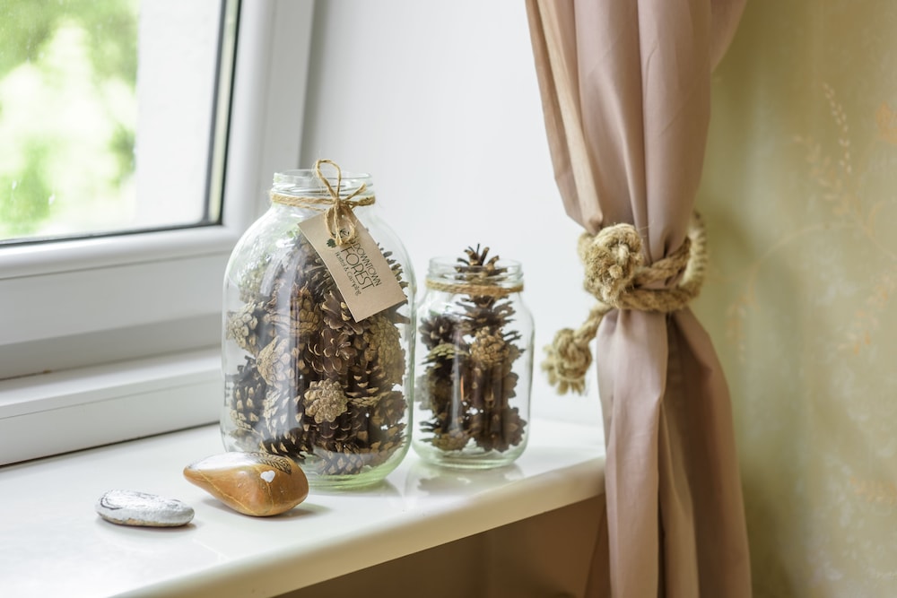 downtown forest hostel and camping