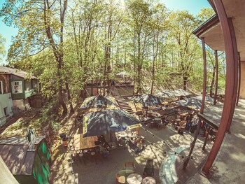 downtown forest hostel and camping