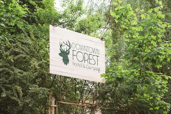 downtown forest hostel and camping