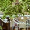 downtown forest hostel and camping