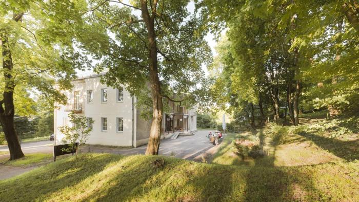 downtown forest hostel and camping