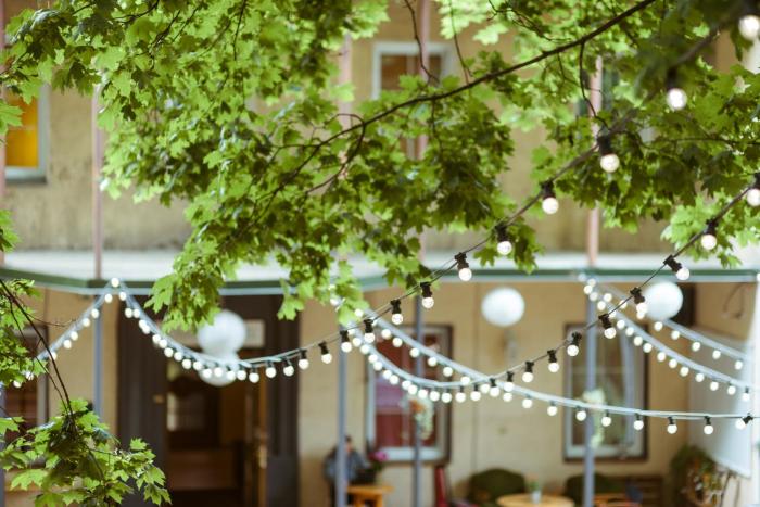 downtown forest hostel and camping