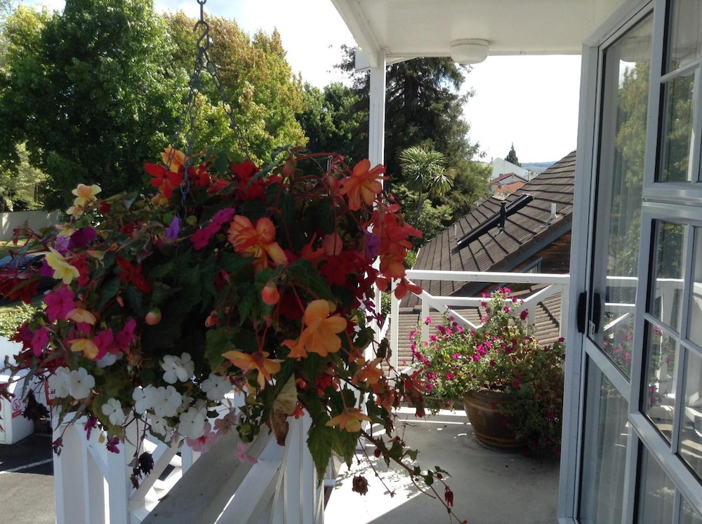 ashleigh court motel