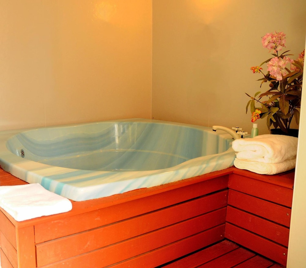 ashleigh court motel