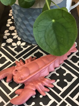 binic etables sur mer