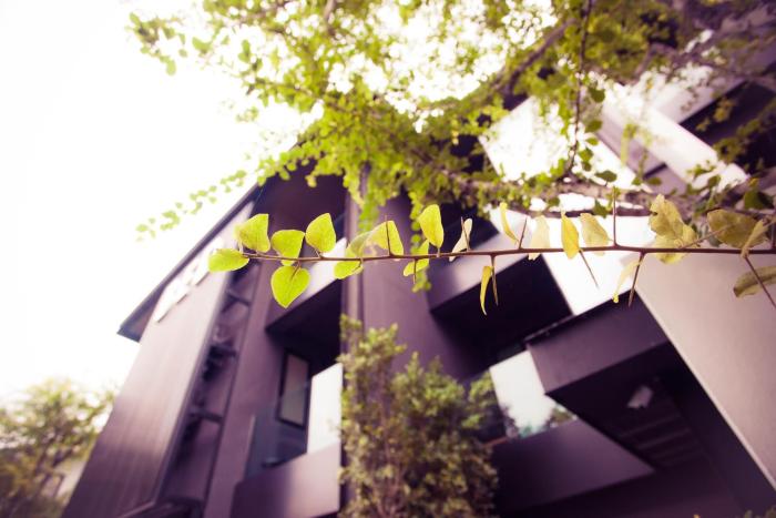 bed phrasingh hotel adults only