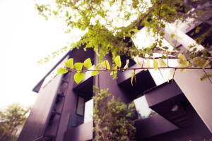 bed phrasingh hotel adults only