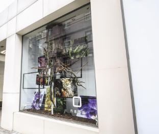 dandy hotel daan park branch