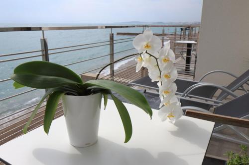 villeneuve loubet