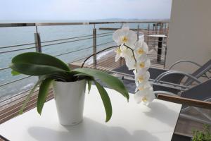 villeneuve loubet