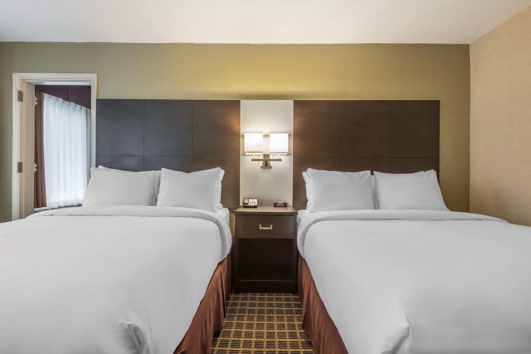 quality inn and suites downtown