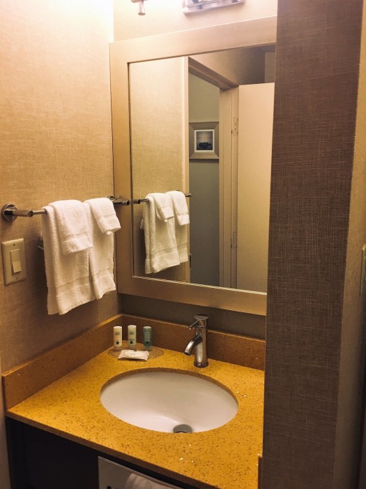 quality inn and suites downtown