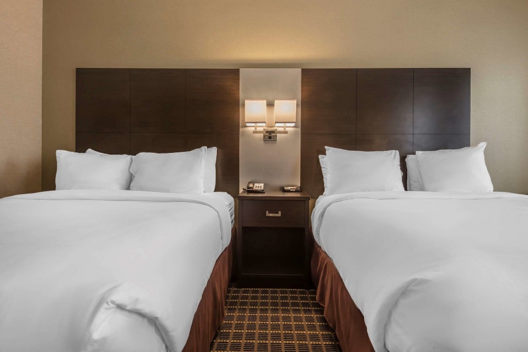 quality inn and suites downtown