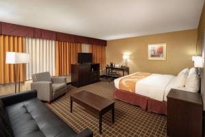 quality inn and suites downtown