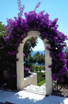 alonissos