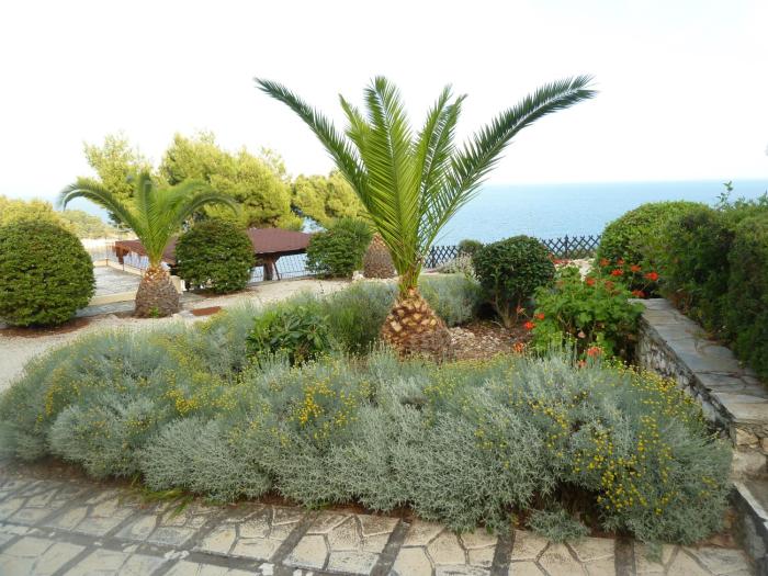 milia bay hotel apartments