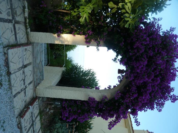 milia bay hotel apartments