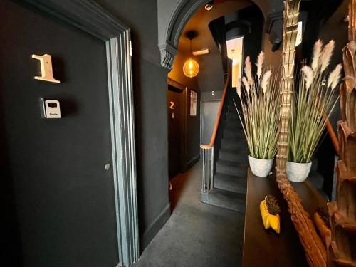 brighton black hotel and hot tubs