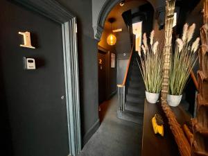 brighton black hotel and hot tubs