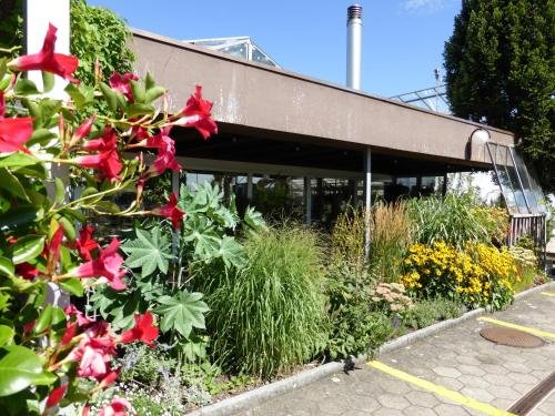 hotel alte gartnerei