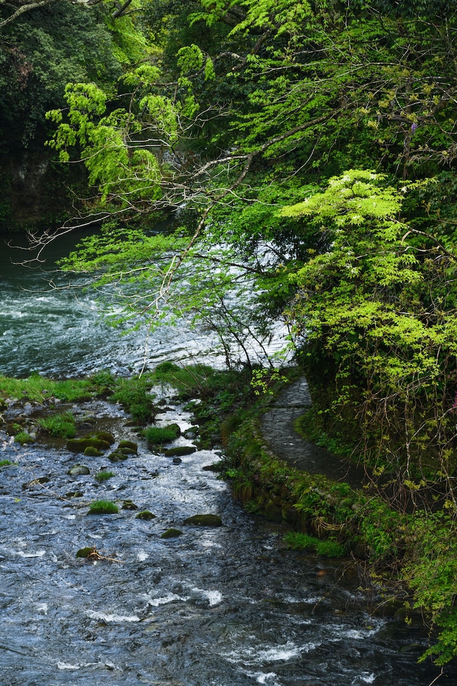 yamanaka onsen shirasagiyu tawaraya