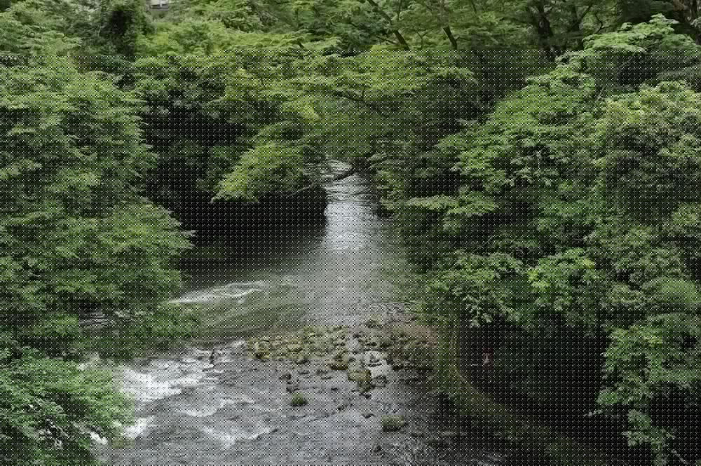 yamanaka onsen shirasagiyu tawaraya