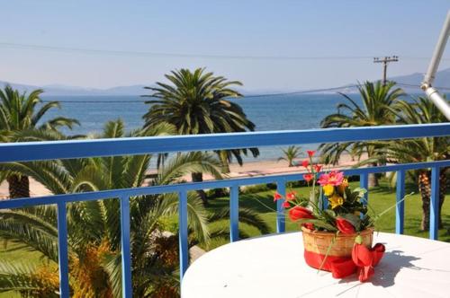 elena hotel