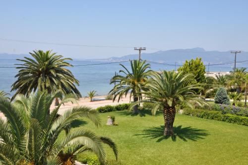 elena hotel