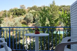 elena hotel