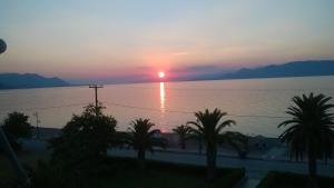 elena hotel