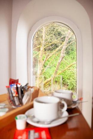the rooms at the nook