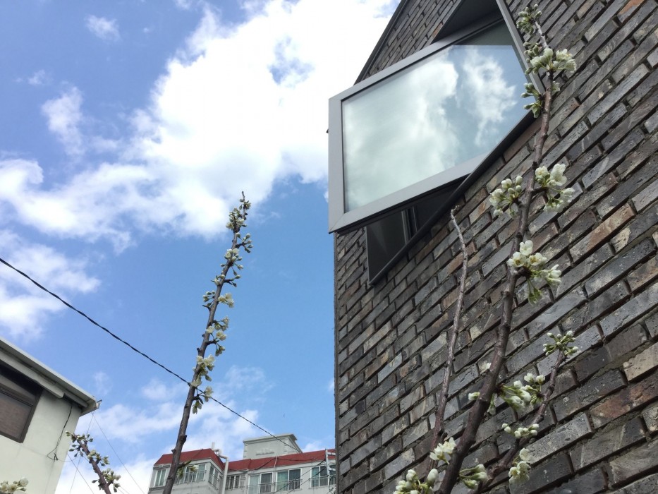 inside busan hostel