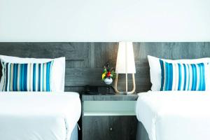 d at sea hotel