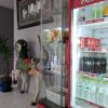 Sino @Thungsong,Nakhon Si Thammarat>>Lan Saka,2 star