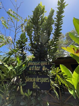 hotel el icaco tortuguero