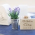 olbia city hotel
