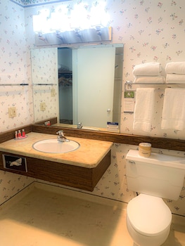 econo lodge inn and suites