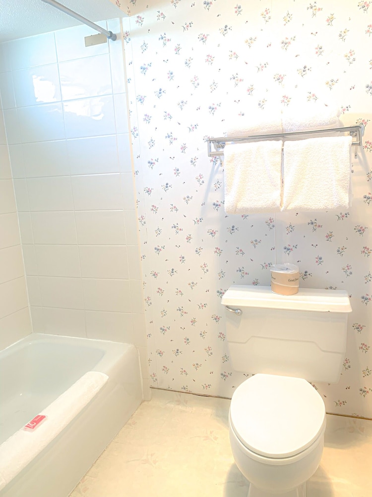 econo lodge inn and suites